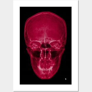 Coloured skull , red X-ray skull. Posters and Art